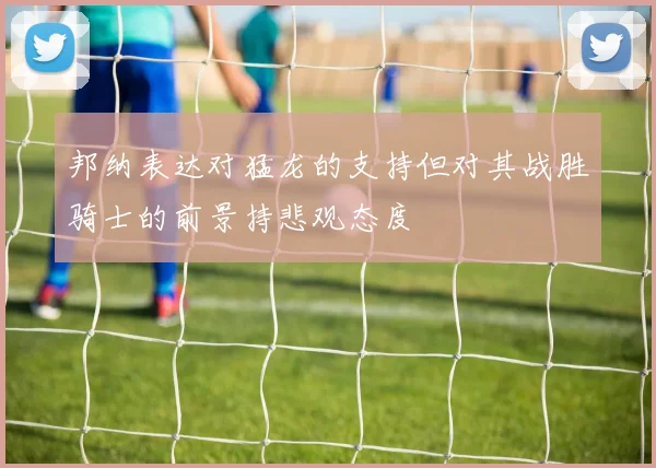 邦纳表达对猛龙的支持但对其战胜骑士的前景持悲观态度