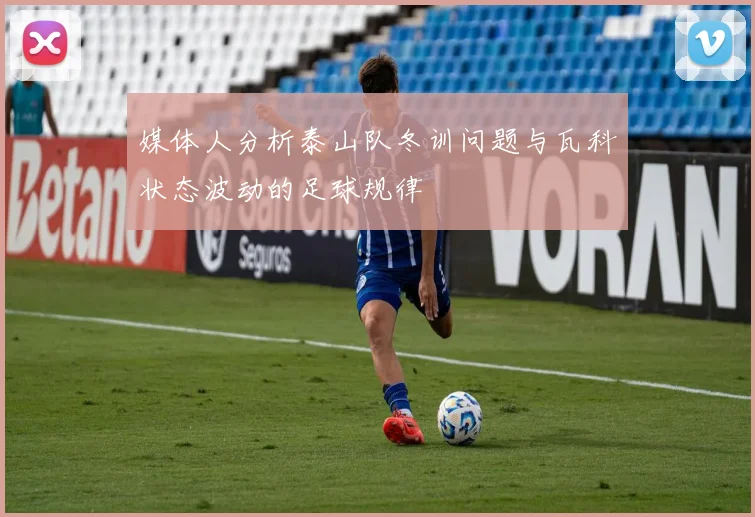 媒体人分析泰山队冬训问题与瓦科状态波动的足球规律